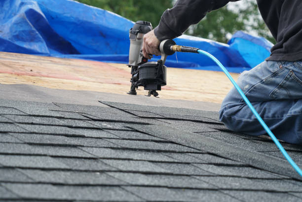 Best Roof Gutter Cleaning  in Panama, OK